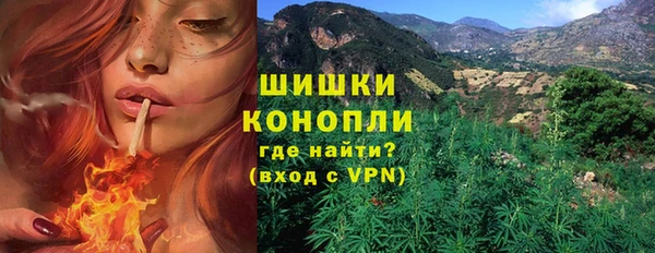 амф Мегион
