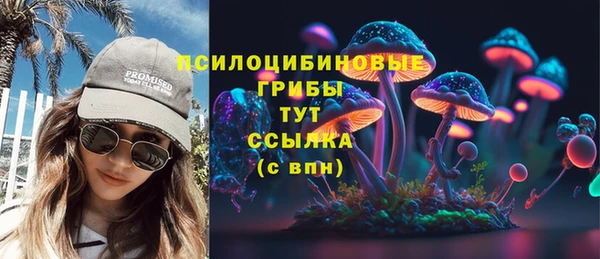 spice Вязьма