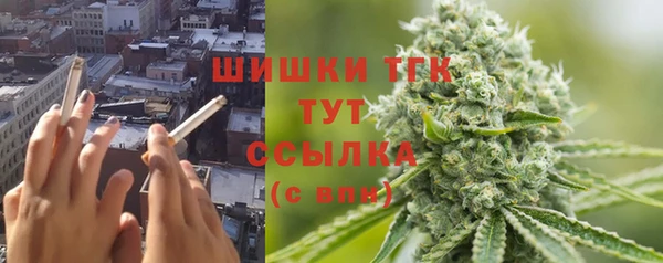 шишки Медногорск