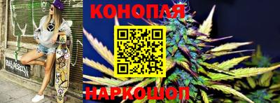 крисы Ипатово