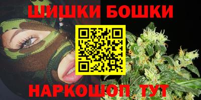 гашик Кингисепп