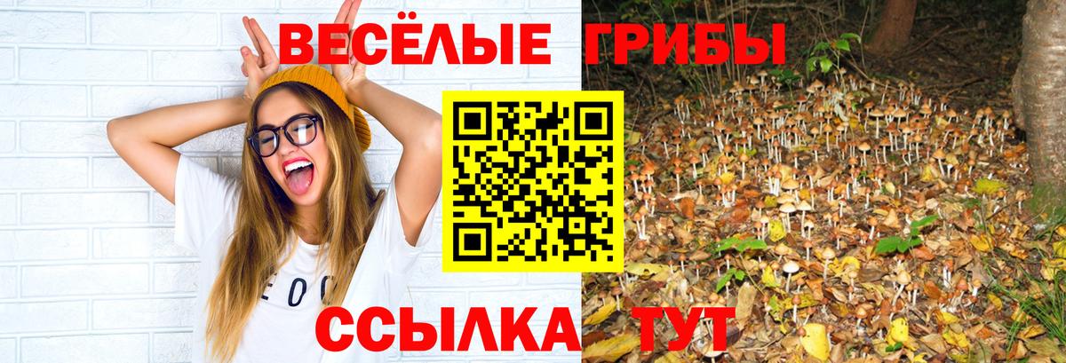 Псилоцибиновые грибы мухоморы  Вход с VPN  Псилоцибиновые грибы GOLDEN TEACHER  Россия 